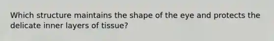 Which structure maintains the shape of the eye and protects the delicate inner layers of tissue?