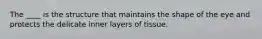 The ____ is the structure that maintains the shape of the eye and protects the delicate inner layers of tissue.