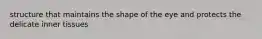 structure that maintains the shape of the eye and protects the delicate inner tissues