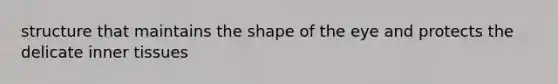 structure that maintains the shape of the eye and protects the delicate inner tissues