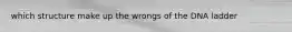 which structure make up the wrongs of the DNA ladder
