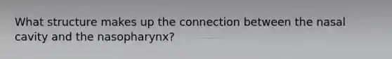 What structure makes up the connection between the nasal cavity and the nasopharynx?