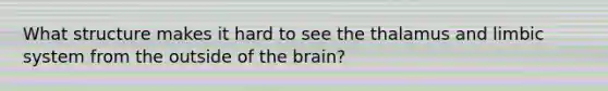 What structure makes it hard to see the thalamus and <a href='https://www.questionai.com/knowledge/keadvC0E2I-limbic-system' class='anchor-knowledge'>limbic system</a> from the outside of <a href='https://www.questionai.com/knowledge/kLMtJeqKp6-the-brain' class='anchor-knowledge'>the brain</a>?