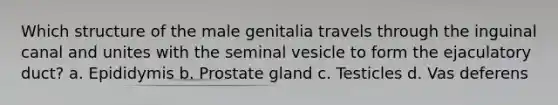 Which structure of the male genitalia travels through the inguinal canal and unites with the seminal vesicle to form the ejaculatory duct? a. Epididymis b. Prostate gland c. Testicles d. Vas deferens