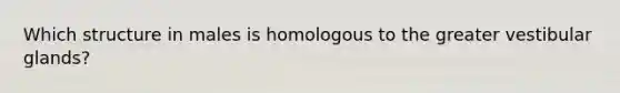 Which structure in males is homologous to the greater vestibular glands?