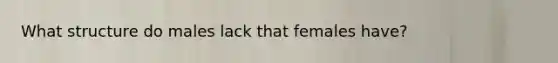 What structure do males lack that females have?