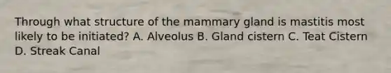 Through what structure of the mammary gland is mastitis most likely to be initiated? A. Alveolus B. Gland cistern C. Teat Cistern D. Streak Canal