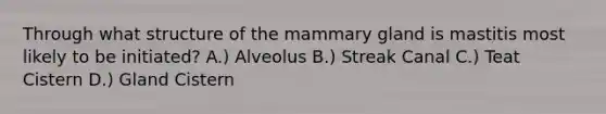 Through what structure of the mammary gland is mastitis most likely to be initiated? A.) Alveolus B.) Streak Canal C.) Teat Cistern D.) Gland Cistern