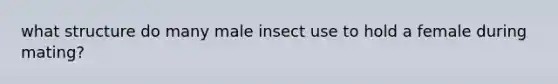 what structure do many male insect use to hold a female during mating?