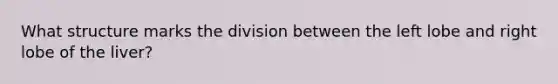 What structure marks the division between the left lobe and right lobe of the liver?
