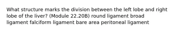 What structure marks the division between the left lobe and right lobe of the liver? (Module 22.20B) round ligament broad ligament falciform ligament bare area peritoneal ligament