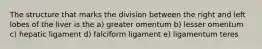 The structure that marks the division between the right and left lobes of the liver is the a) greater omentum b) lesser omentum c) hepatic ligament d) falciform ligament e) ligamentum teres