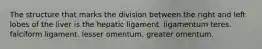 The structure that marks the division between the right and left lobes of the liver is the hepatic ligament. ligamentum teres. falciform ligament. lesser omentum. greater omentum.