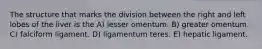 The structure that marks the division between the right and left lobes of the liver is the A) lesser omentum. B) greater omentum. C) falciform ligament. D) ligamentum teres. E) hepatic ligament.