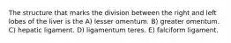 The structure that marks the division between the right and left lobes of the liver is the A) lesser omentum. B) greater omentum. C) hepatic ligament. D) ligamentum teres. E) falciform ligament.