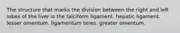 The structure that marks the division between the right and left lobes of the liver is the falciform ligament. hepatic ligament. lesser omentum. ligamentum teres. greater omentum.