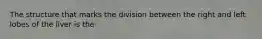 The structure that marks the division between the right and left lobes of the liver is the