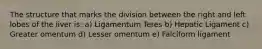 The structure that marks the division between the right and left lobes of the liver is: a) Ligamentum Teres b) Hepatic Ligament c) Greater omentum d) Lesser omentum e) Falciform ligament