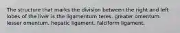 The structure that marks the division between the right and left lobes of the liver is the ligamentum teres. greater omentum. lesser omentum. hepatic ligament. falciform ligament.