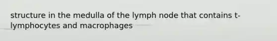 structure in the medulla of the lymph node that contains t-lymphocytes and macrophages