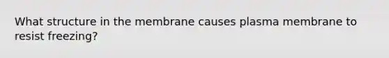 What structure in the membrane causes plasma membrane to resist freezing?