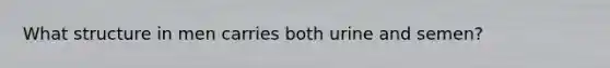 What structure in men carries both urine and semen?