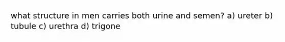 what structure in men carries both urine and semen? a) ureter b) tubule c) urethra d) trigone