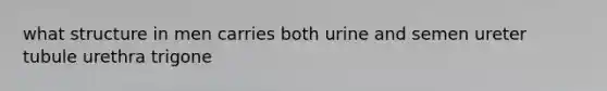 what structure in men carries both urine and semen ureter tubule urethra trigone