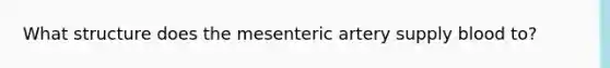 What structure does the mesenteric artery supply blood to?