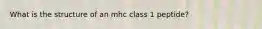 What is the structure of an mhc class 1 peptide?