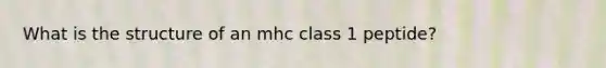 What is the structure of an mhc class 1 peptide?