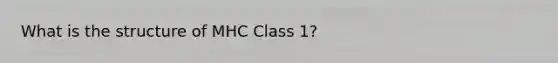 What is the structure of MHC Class 1?