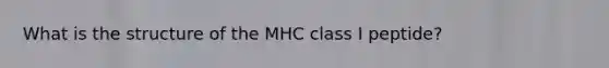 What is the structure of the MHC class I peptide?