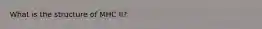 What is the structure of MHC II?