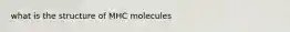 what is the structure of MHC molecules