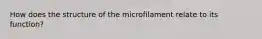 How does the structure of the microfilament relate to its function?