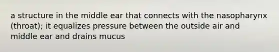 a structure in the middle ear that connects with the nasopharynx (throat); it equalizes pressure between the outside air and middle ear and drains mucus