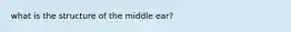 what is the structure of the middle ear?