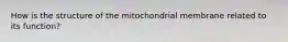 How is the structure of the mitochondrial membrane related to its function?