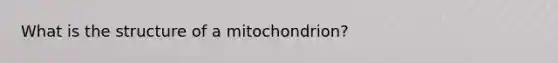 What is the structure of a mitochondrion?