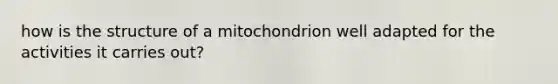 how is the structure of a mitochondrion well adapted for the activities it carries out?