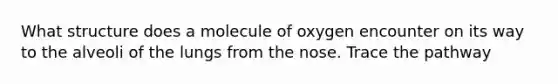 What structure does a molecule of oxygen encounter on its way to the alveoli of the lungs from the nose. Trace the pathway