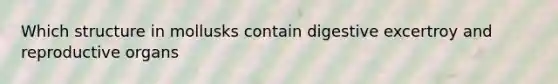 Which structure in mollusks contain digestive excertroy and reproductive organs