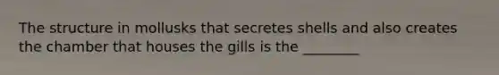 The structure in mollusks that secretes shells and also creates the chamber that houses the gills is the ________