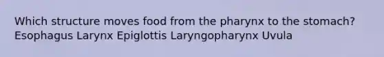 Which structure moves food from <a href='https://www.questionai.com/knowledge/ktW97n6hGJ-the-pharynx' class='anchor-knowledge'>the pharynx</a> to <a href='https://www.questionai.com/knowledge/kLccSGjkt8-the-stomach' class='anchor-knowledge'>the stomach</a>? Esophagus Larynx Epiglottis Laryngopharynx Uvula