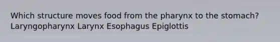 Which structure moves food from the pharynx to the stomach? Laryngopharynx Larynx Esophagus Epiglottis