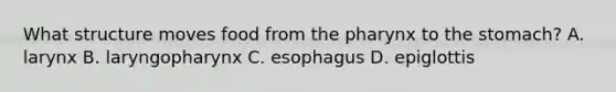 What structure moves food from the pharynx to the stomach? A. larynx B. laryngopharynx C. esophagus D. epiglottis