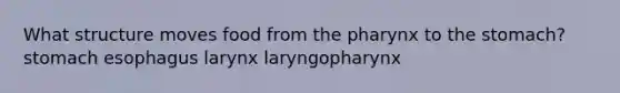 What structure moves food from the pharynx to the stomach? stomach esophagus larynx laryngopharynx