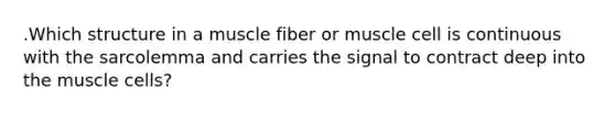 .Which structure in a muscle fiber or muscle cell is continuous with the sarcolemma and carries the signal to contract deep into the muscle cells?