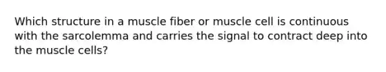 Which structure in a muscle fiber or muscle cell is continuous with the sarcolemma and carries the signal to contract deep into the muscle cells?